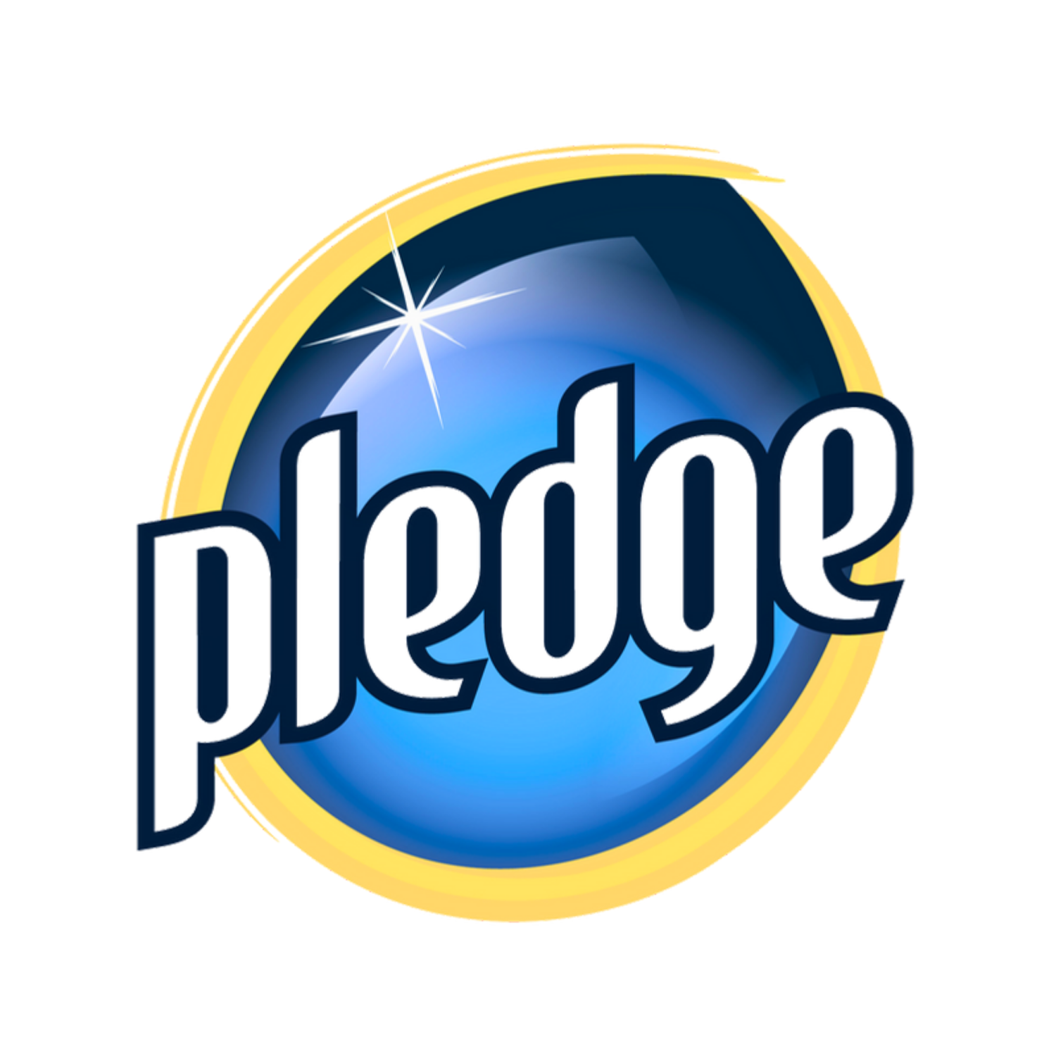 Pledge Collection at Ultimate Clean Team